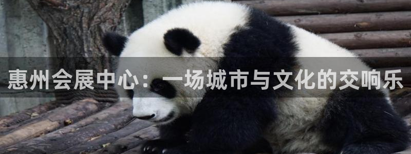 果博官方热线：惠州会展中心：一场城市与文