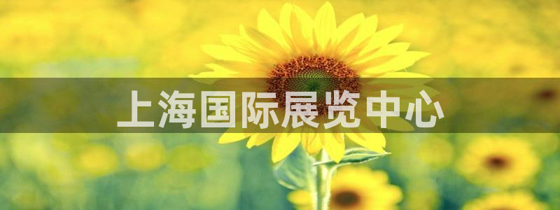 果博公司联系方式：上海国际展览中心