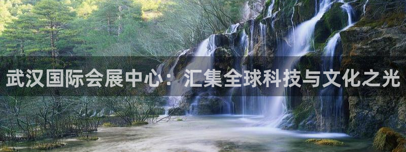 果博公司上分客服：武汉国际会展中心：汇集