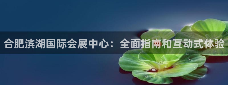 果博账号注册：合肥滨湖国际会展中心：全面