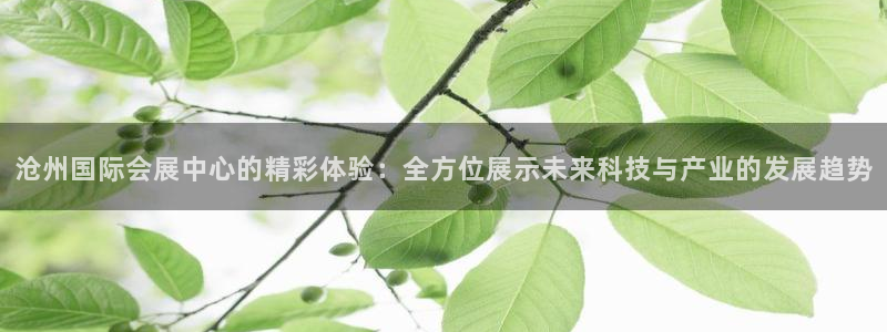 果博真人：沧州国际会展中心的精彩体验：全