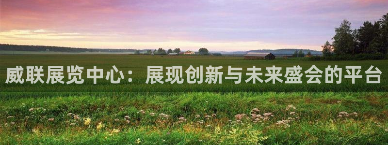 果博平台真实吗安全吗可信吗可靠吗：威联展